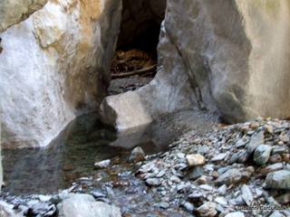 stoleone-31-08-2015 09-19-51